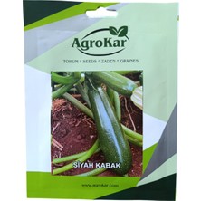 Agrokar Siyah Kabak Tohumu 10 gr