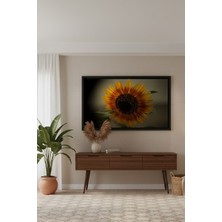 Safir Design Modern ve Rustik Dekoratif Ayçiçeği Çerçeveli Tablo