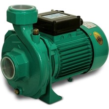 Özgürce Güçlü 3 Hp Elektrikli Su Pompası, 2 Kw, Termik Koruma, Dayanıklı Tasarım