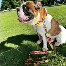 Barkie İzmir Pawlook Gezdirme Kayışı (Düz Renkler)