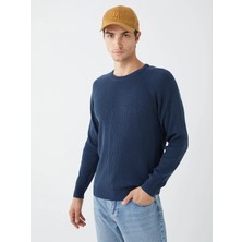 LC Waikiki Lacivert Bisiklet Yaka Erkek Triko Kazak