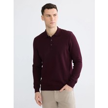 LC Waikiki Bordo Polo Yaka Erkek Triko Kazak