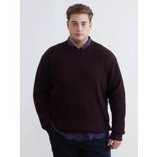 LC Waikiki Mürdüm Bisiklet Yaka Erkek Triko Kazak