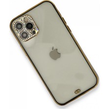 Newface iPhone 12 Pro Kılıf Liva Taşlı Silikon - Siyah