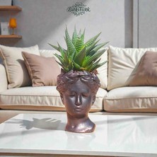 Helen Beton Saksıda Ithal Haworthia Dolgun ve Bol Yavrulu ORT.25CM |bitkitürk Tasarım