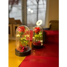 Öztu Işıklı Cam Fanus Içinde Yapay Kırmızı Gül – Romantik Dekoratif Hediye