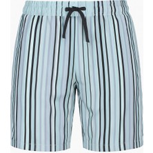 Rizzup Erkek Buz Mavisi Çizgili Hızlı Kuruyan Micro Kumaş File Astarlı Deniz Şortu 2403011