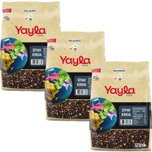 Yayla Gurme Siyah Kinoa 250 gr X3