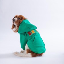 Pawstar Yeşil Bronx Brave Köpek Hoodie Köpek Sweat Köpek Kıyafeti Kedi Kıyafeti