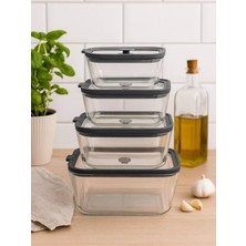 Arow Hıelo Cam 4 Lü Gri Saklama Kabı