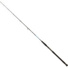 Daiwa Harrier Jigging 1.75M 150-300GR Tek Parça Jig Olta Kamışı