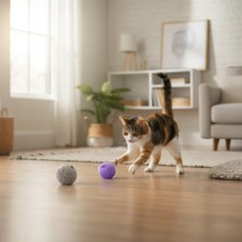 Majoris Renkli Kedi Topu