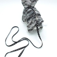 Ne Verelim Size Kedi Yıldızlı Göğüs Tasması ve Gezdirme Seti PS9649