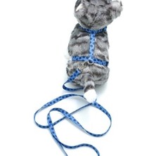 Ne Verelim Size Kedi Patili Göğüs Tasması ve Gezdirme Seti PS9646