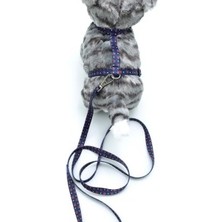 Ne Verelim Size Kedi Patili Göğüs Tasması ve Gezdirme Seti PS9645