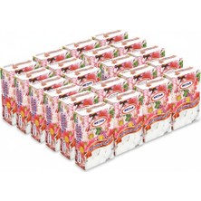 Toptancı Amca Naftalin Tablet 100 gr x 24 Adet - Güve Önleyici ve Lavabo Koku Giderici 1.kalite