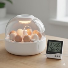 Kuluçka Makinesi Için Özel (Kalibrasyon Sertifikalı) Problu Dijital Termometre  Isı Sıcaklık Nem Ölçer