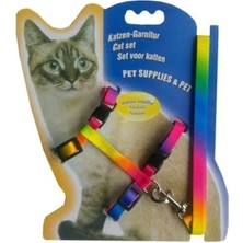 Store Mania Ieg™ Multicolor Kedi Tasması