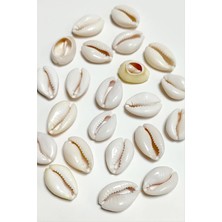 Store Mania Ieg™ 10 Adet Orjinal Istiridye Aparatı Büyük