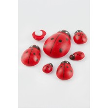 Store Mania Ieg™ Uğur Böceği Set 6 Adet