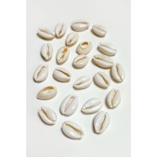 Store Mania Ieg™ 10 Adet Orjinal Istiridye Aparatı Küçük