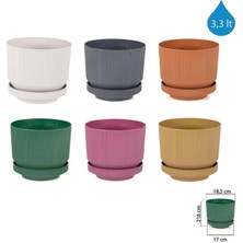 Store Mania Ieg™ 3no Saksı 3.3lt 1 Adet ROYALEKS-S282