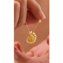 Wind Silver Üç Boyutlu Saylangoz Kabuğu 925 Ayar