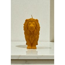 Wexo Aslan %100 Doğal Soya Mumu