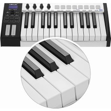 Braventa Collection Worlde Blue Whale 25 Tuş Klavye