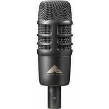 Delixa -Technica AE2500 Çift Elemanlı Enstrüman Mikrofonu