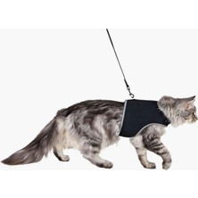 Braventa Collection Kedi Göğüs Tasma Seti, Xxl, 36-54CM, 120CM
