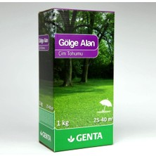 Braventa Collection Gölge Alan Çim Tohumu 1 kg