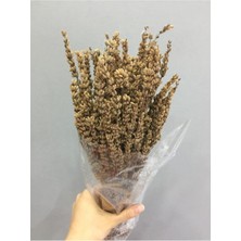 Isparta Gülü Lavanta Demeti Şoklanmış Kokulu 40-50 cm