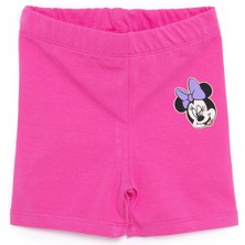 Disney Minnie Mouse Tayt