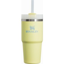 Braventa Collection Quencher H2.0 Flowstate Paslanmaz Çelik Vakum Yalıtımlı Bardak Kapaklı ve Pipetli Su, Buzlu Çay Veya