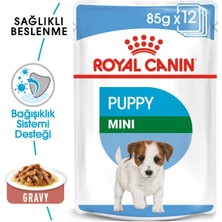 Royal Canin Mini Puppy 85 gr Tavuk Aromalı Yaş Maması 12 Adet Yavru Köpekler İçin Enerji Desteği
