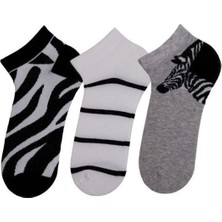 Bross Zebra Desenli 3lü Bayan Step Çorap ONL-02736