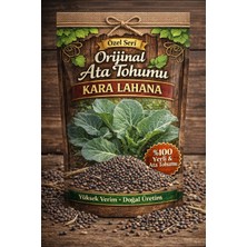Köydeki Adam Kara Lahana Ata Tohumu Orjinal 50 Adet