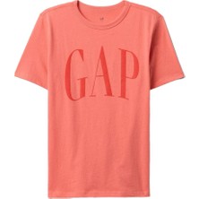 Gap Erkek Çocuk T-Shirt V-Frch Logo Arch Tee