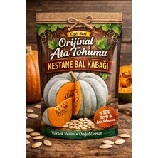 Köydeki Adam Bal Kabağı Kestane Ata Tohumu 10 Adet