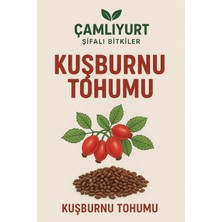 Köydeki Adam Kuşburnu Tohumu 10 Adet (Ata Tohumu)