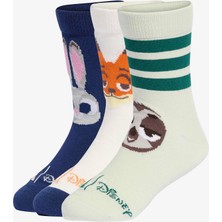 Adidas Disney Zootopia Kadın Beyaz 3'lü Çorap.-
