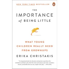 The Importance Of Being Little: What Young Children Really Need From Grownups