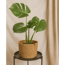 Efuliz Home Jüt-Hasır Çok Amaçlı-Dekoratif-Organizer Saksı Sepeti, Bahçe Düzenleyici Sepet. (En:20-Boy:20 Cm)