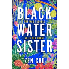 Macmillan Black Water Sister