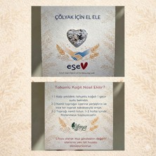 Lifoya Tohum Kart-25 Adet (%50 Muz Lifi,%50 Geri Dönüştürülmüş Kağıt)