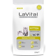 Ashwork Lavital Kitten Somonlu Yavru Kedi Maması 1.5 kg 587455
