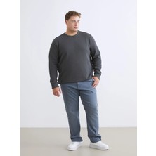 LC Waikiki Gri Büyük Beden 779 Regular Fit Erkek Jean Pantolon