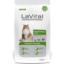 Ashwork Lavital Maintenance Tavuklu Yetişkin Kedi Maması 1.5 kg 587455
