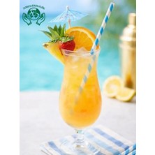 Ekolojik Ürünler Mavi Beyaz Kağıt Pipet 8x200 mm 100 Adet Party Concept